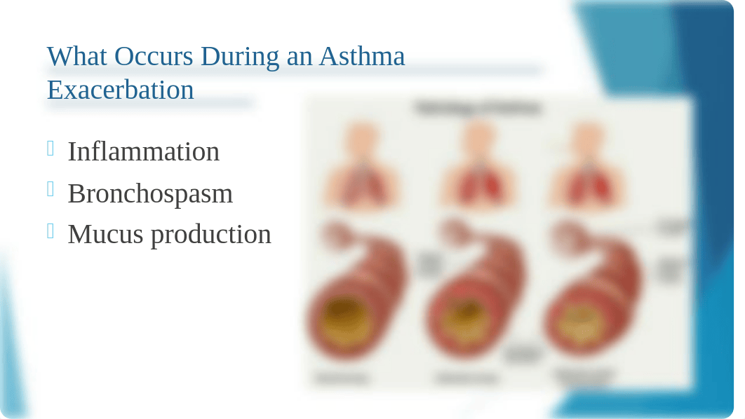 NUR300 Week 6 Assignment Childhood Asthma PPP.pptx_d7981kv62os_page4