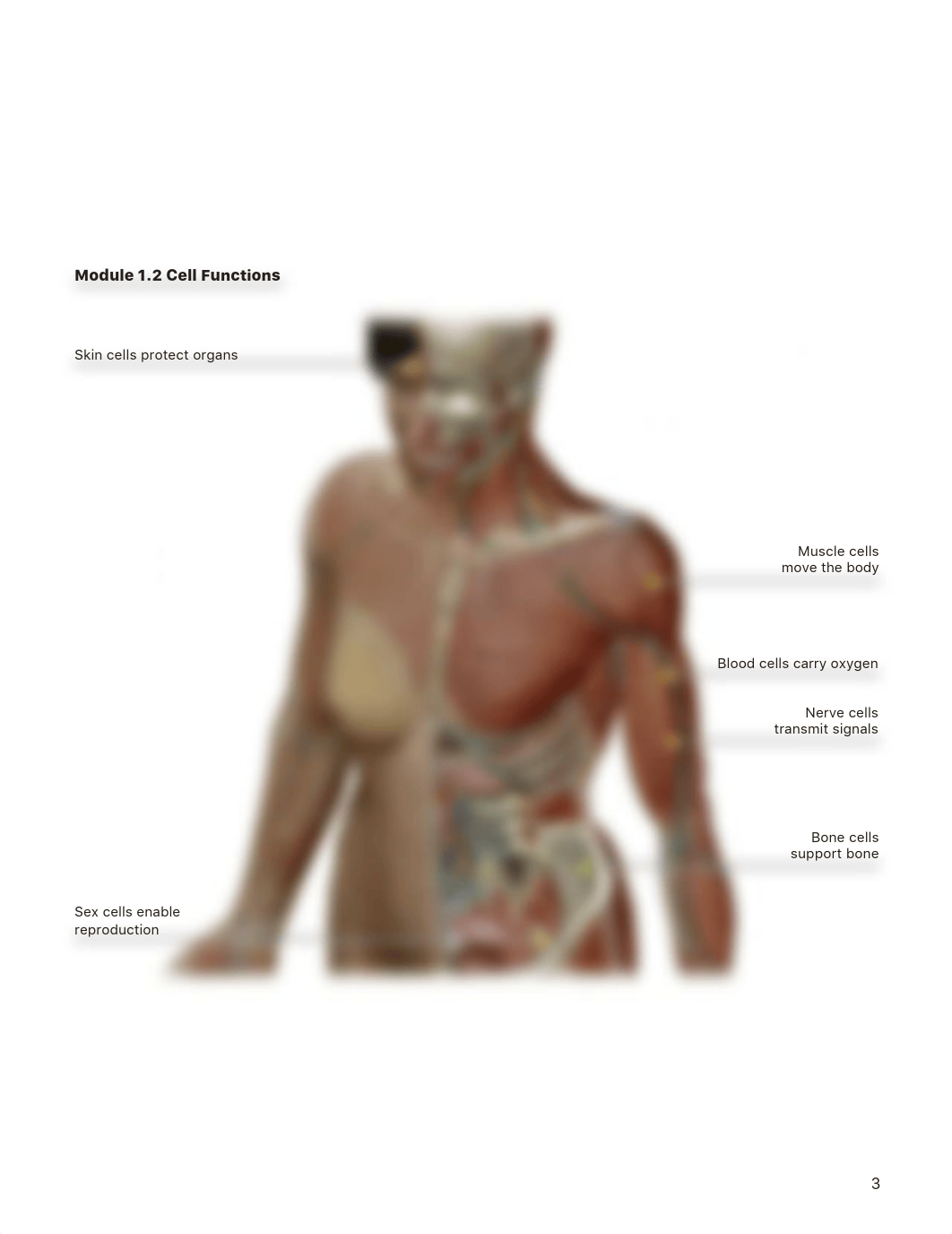 Lab__1_manual_combined_actual.pdf_d799dyc1kv7_page2