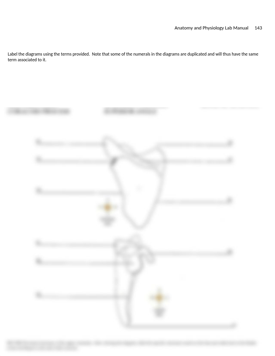 Shoulder Gross Anatomy Lab_Scapula Upper Extremity Coloring Sheet.docx_d79a93rp3oc_page1