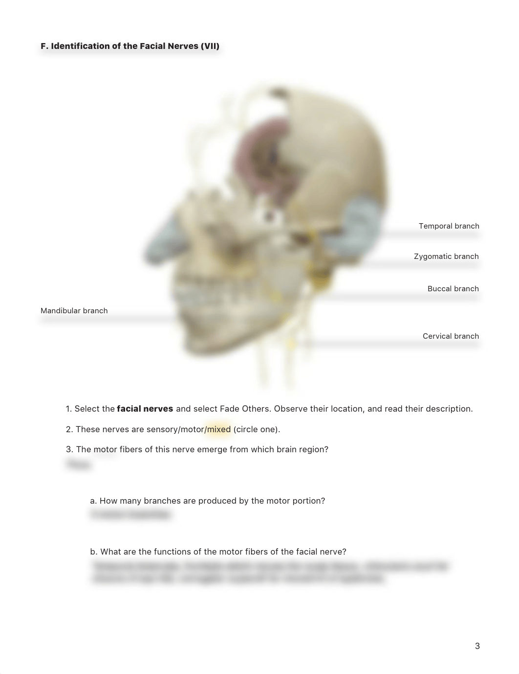 lab manual_cranial nerves_atlas_part_2.pdf_d79kd2lc9m0_page3