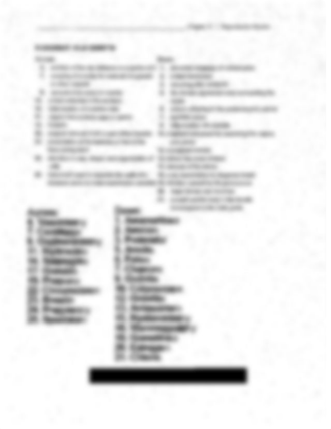 MT Chapter 11 crossword puzzle.pdf_d79thorut2k_page2