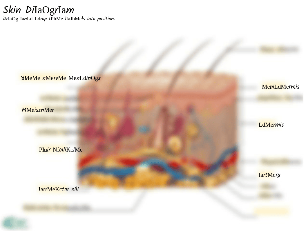 Skin labeling .pdf_d79x0guqw4a_page1