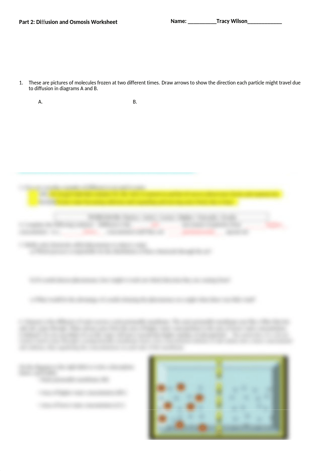 Part 2 Diffusion and Osmosis Worksheet.doc_d79xbkfbq6p_page1