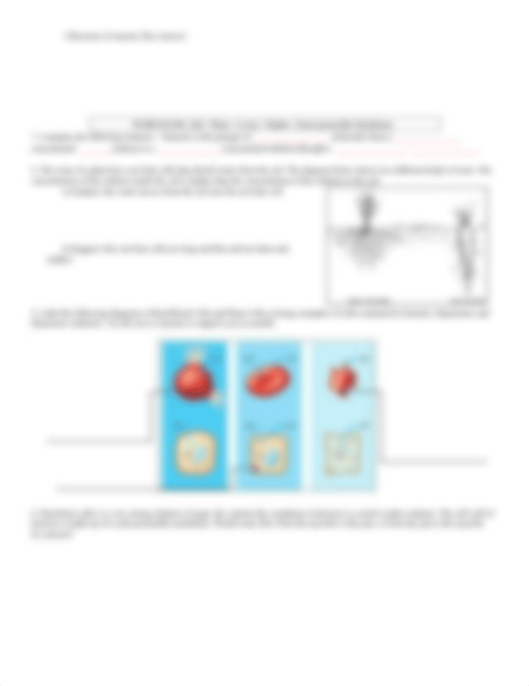 Part 2 Diffusion and Osmosis Worksheet.doc_d79xbkfbq6p_page2