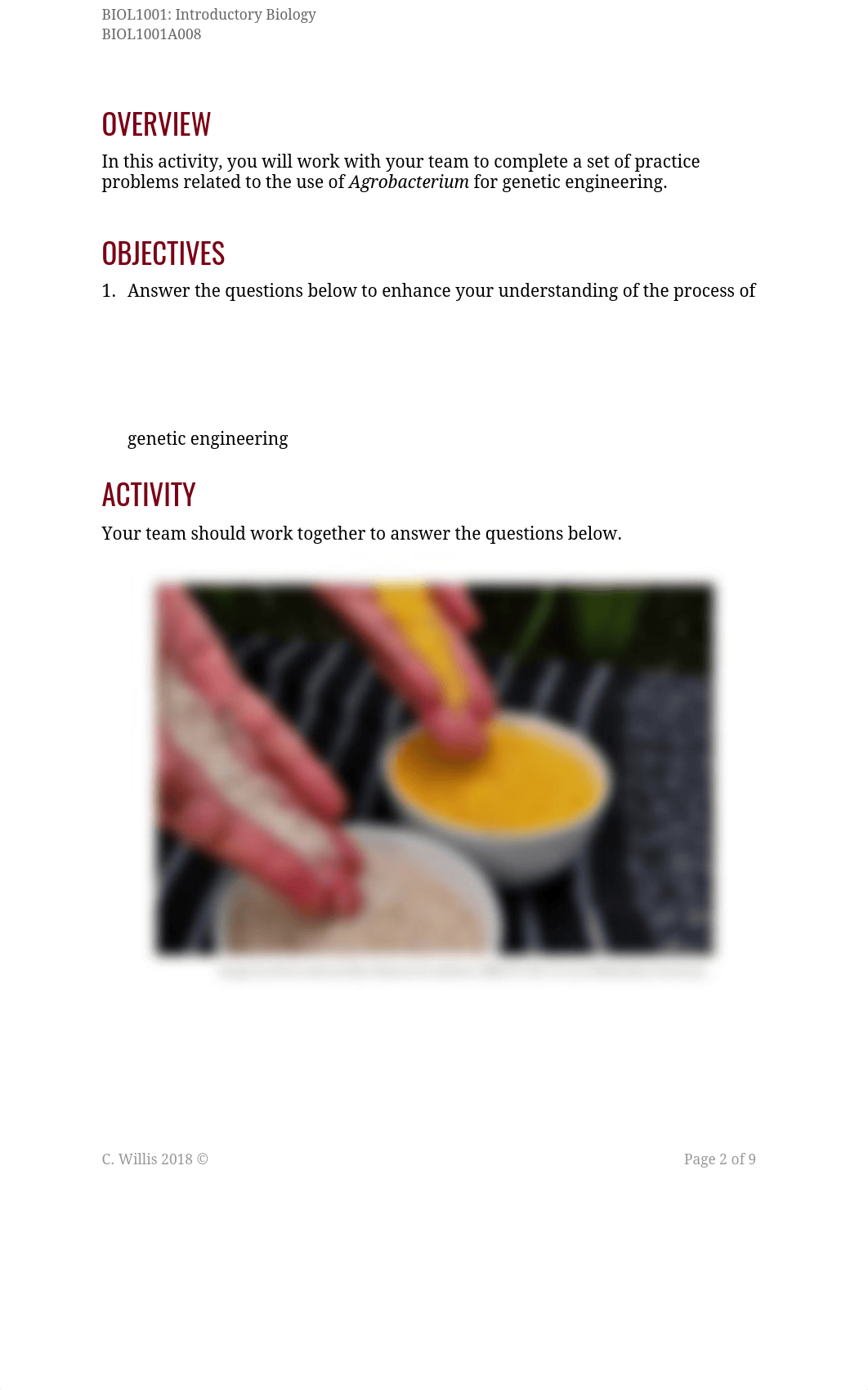 Golden Rice submission.pdf_d7a1uxpz94y_page3