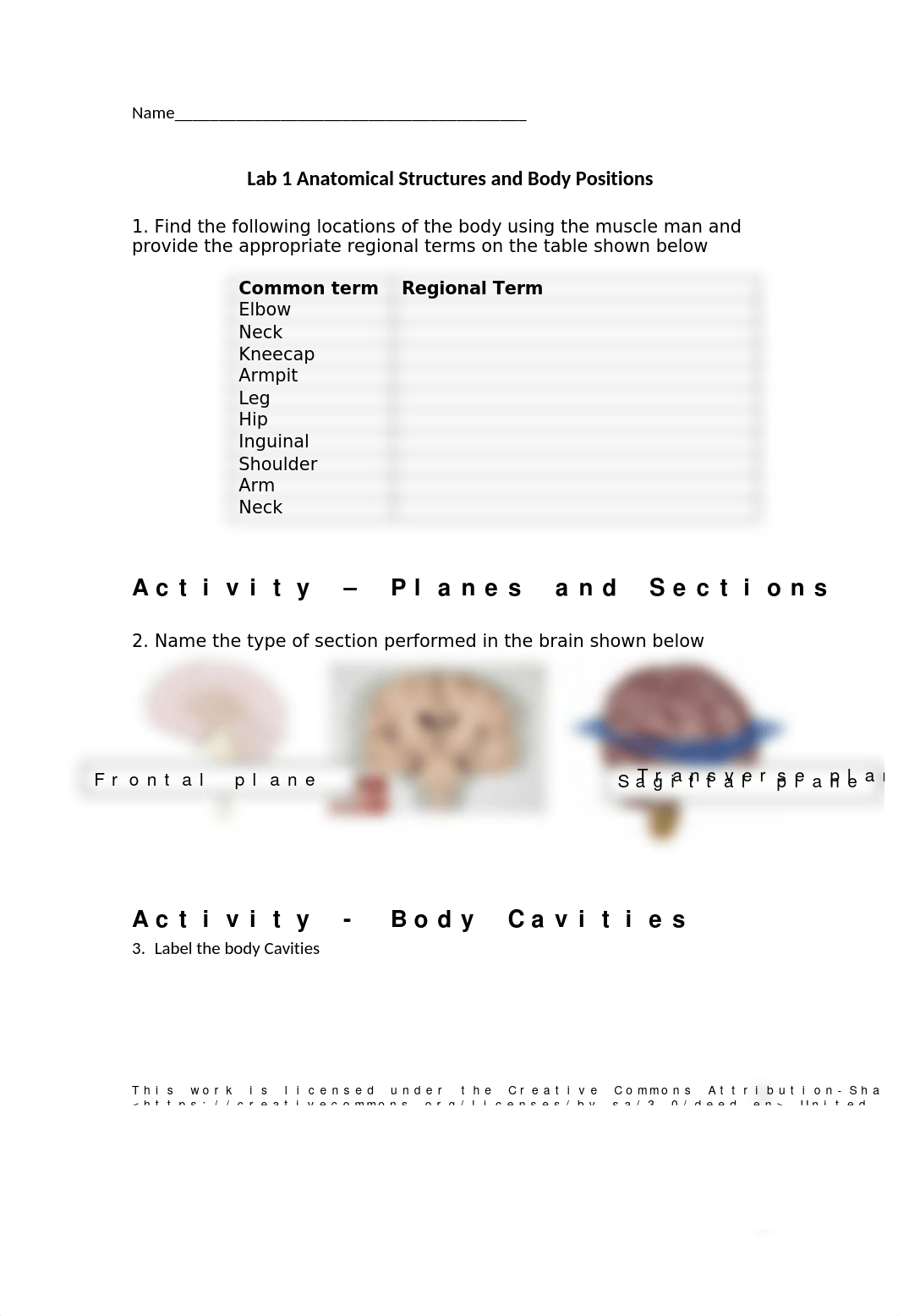 Lab 1-Anatomical Structures and Positions.docx_d7aftan2z4k_page1