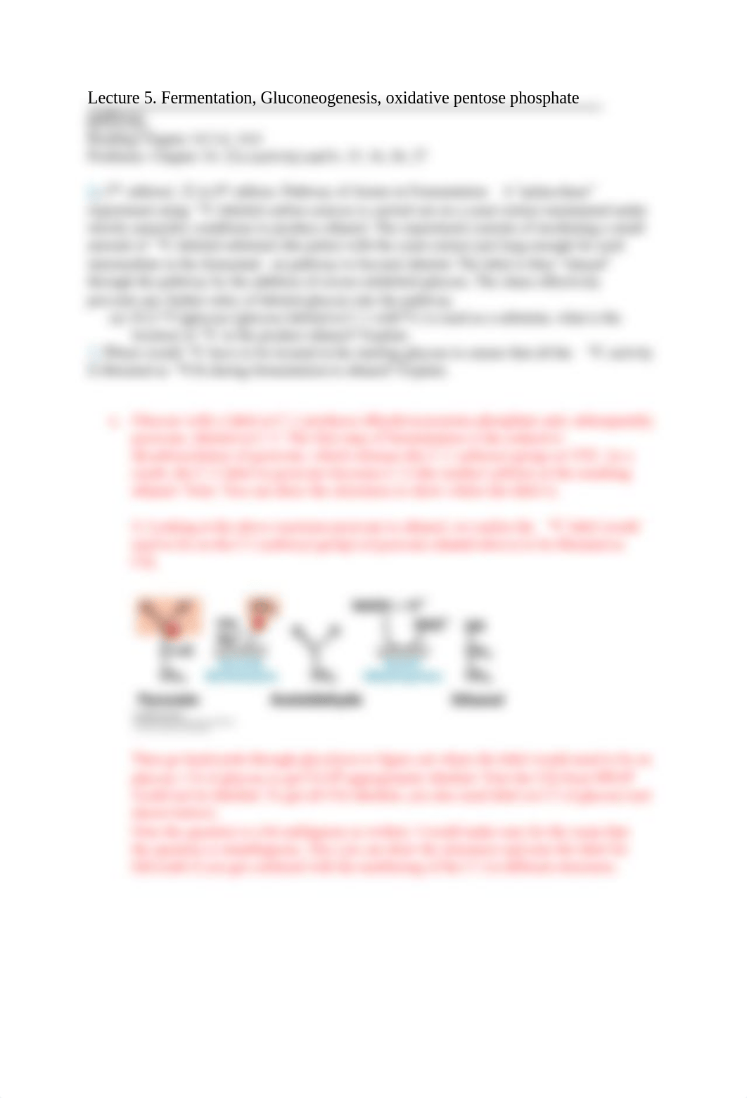 F22 Metabolism PSet 2_KEY.pdf_d7akmr0zlwc_page3