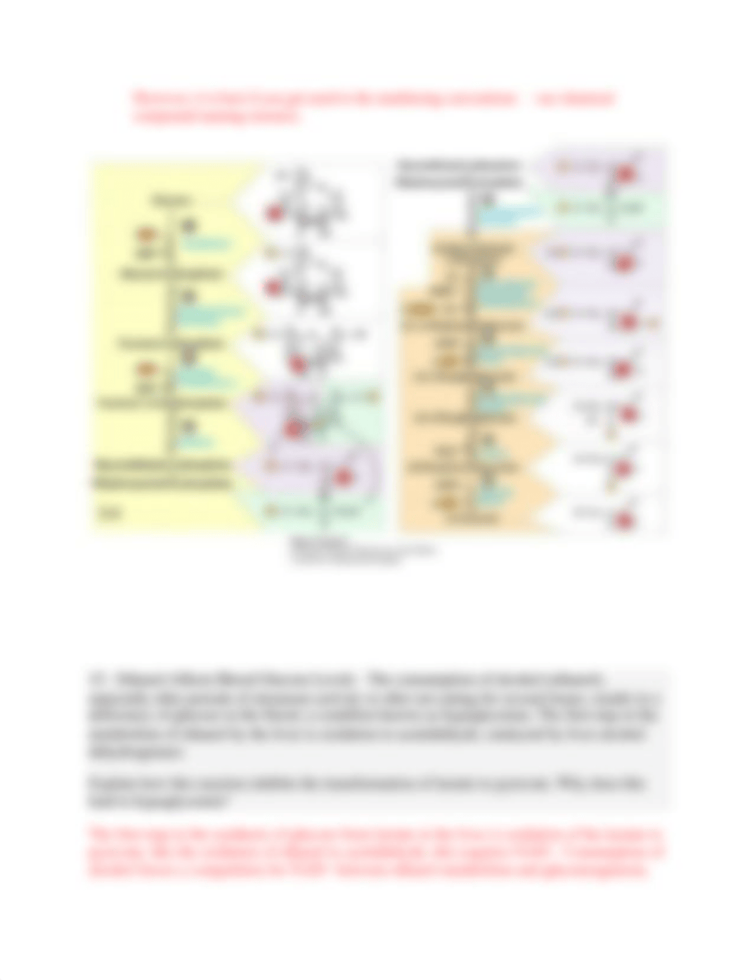 F22 Metabolism PSet 2_KEY.pdf_d7akmr0zlwc_page4