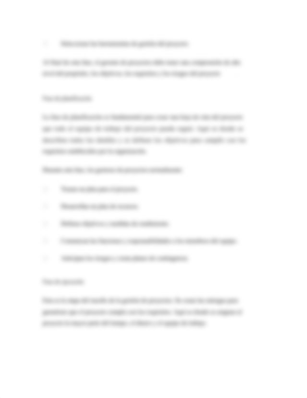 El ciclo de vida de un proyecto (1).docx_d7amtk7me5d_page2