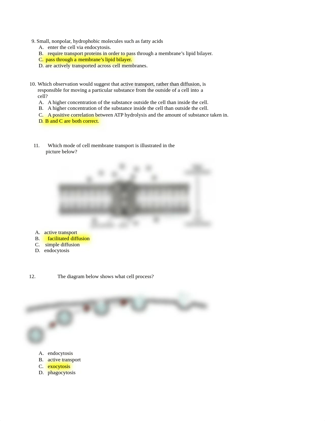 Sample Exam 1 questions.docx_d7aqmv11dx5_page2