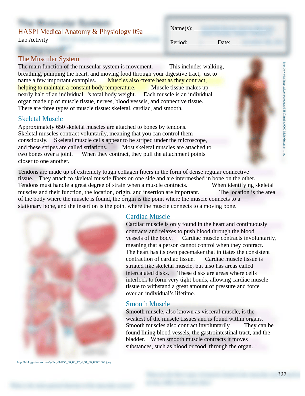 Kami Export - ISABEL FAITH SORIANO - Edited_HASPI_LAB_2019muscular_system.docx.pdf_d7aqt9qfcde_page1