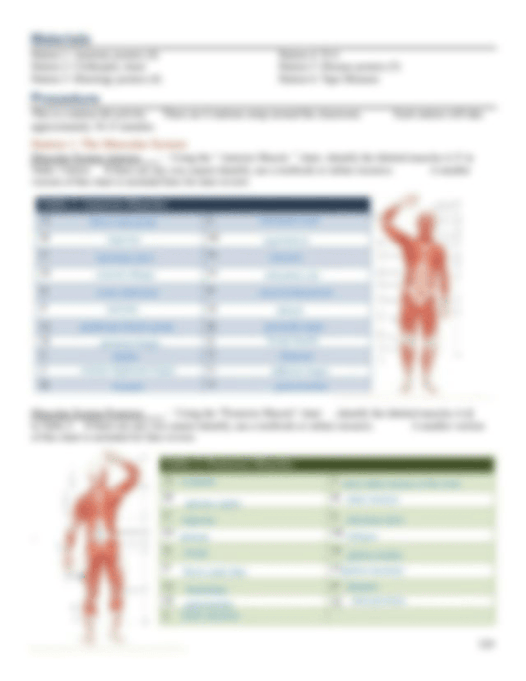 Kami Export - ISABEL FAITH SORIANO - Edited_HASPI_LAB_2019muscular_system.docx.pdf_d7aqt9qfcde_page3