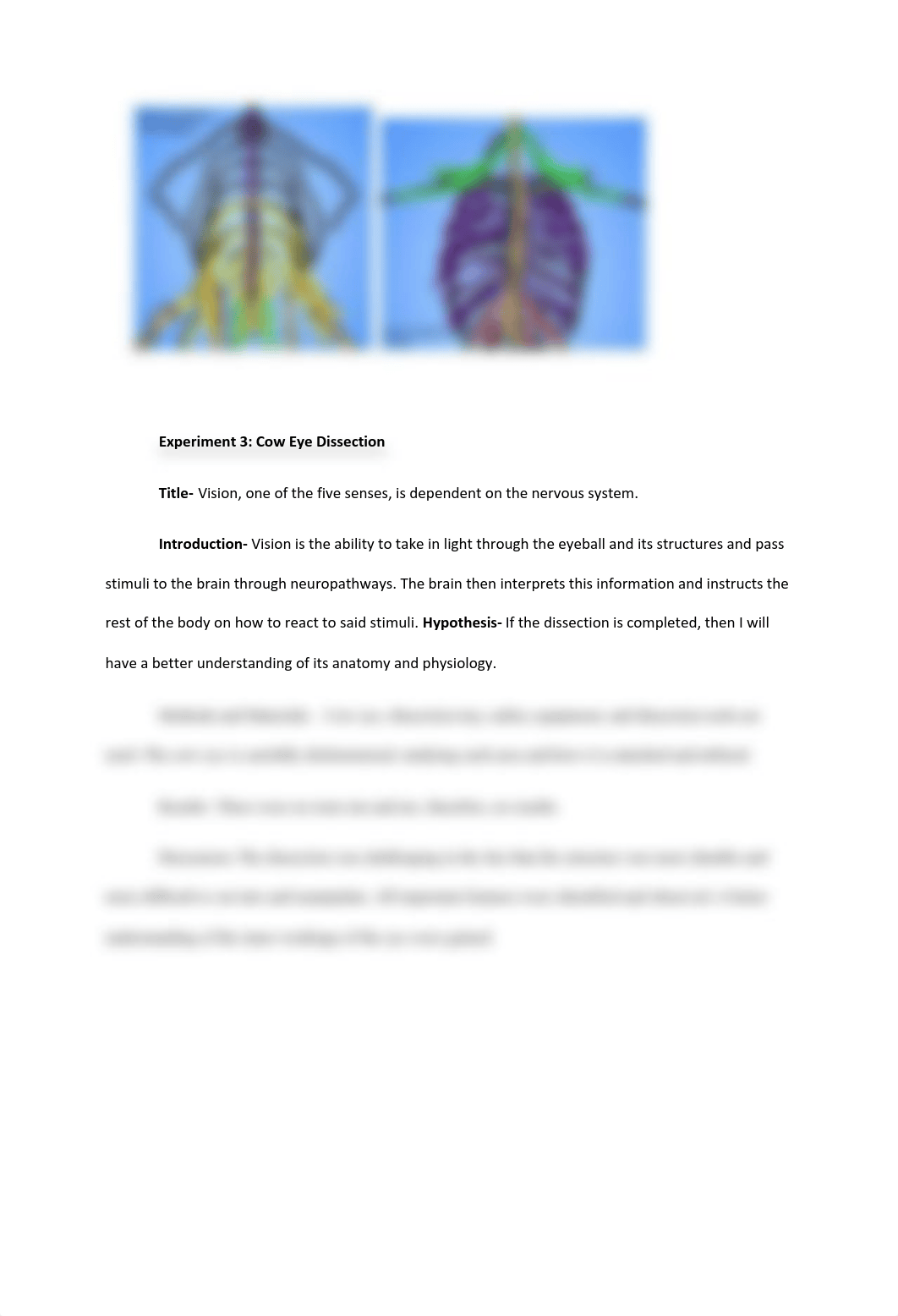 Lab 8.pdf_d7at9zgxz9z_page4