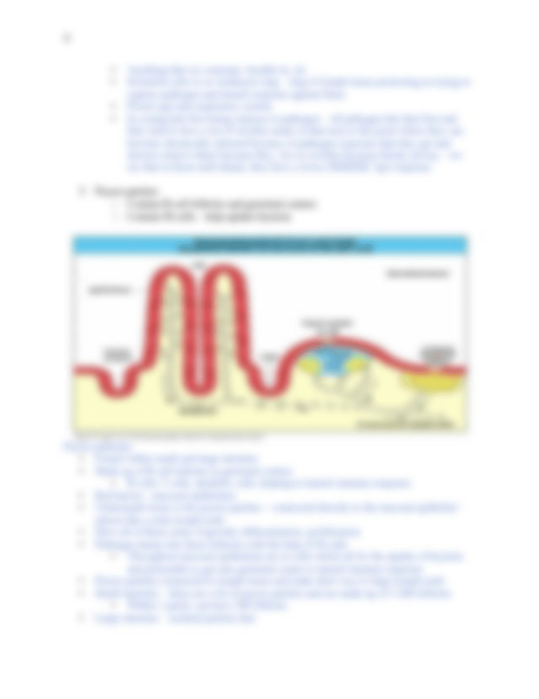 Immunology Ch.10 Dr. A Notes.docx_d7awse49ivo_page4