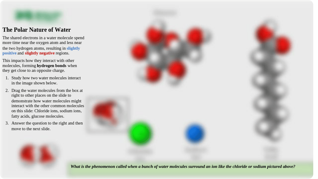 BIO153_Fall2020_HomeworkSet2-Part2 Hess Sarah.pptx_d7awt56mvo0_page4