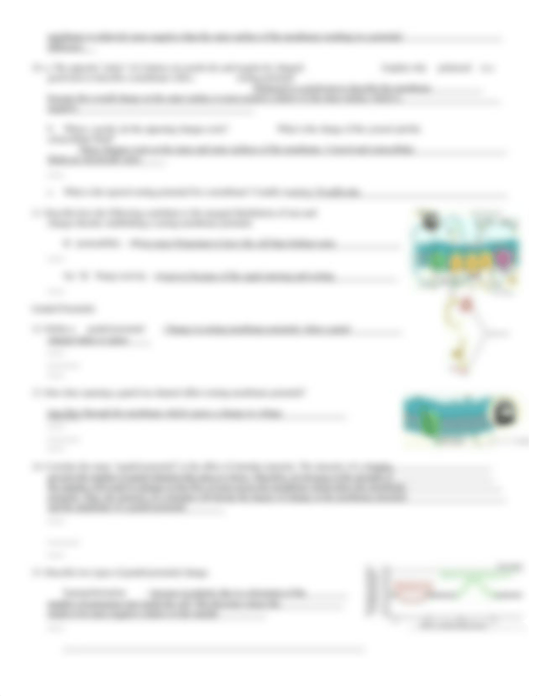 Chp 12 Membrane Potentials.doc_d7aymtt41wx_page3