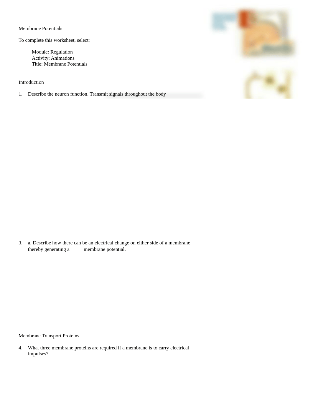 Chp 12 Membrane Potentials.doc_d7aymtt41wx_page1