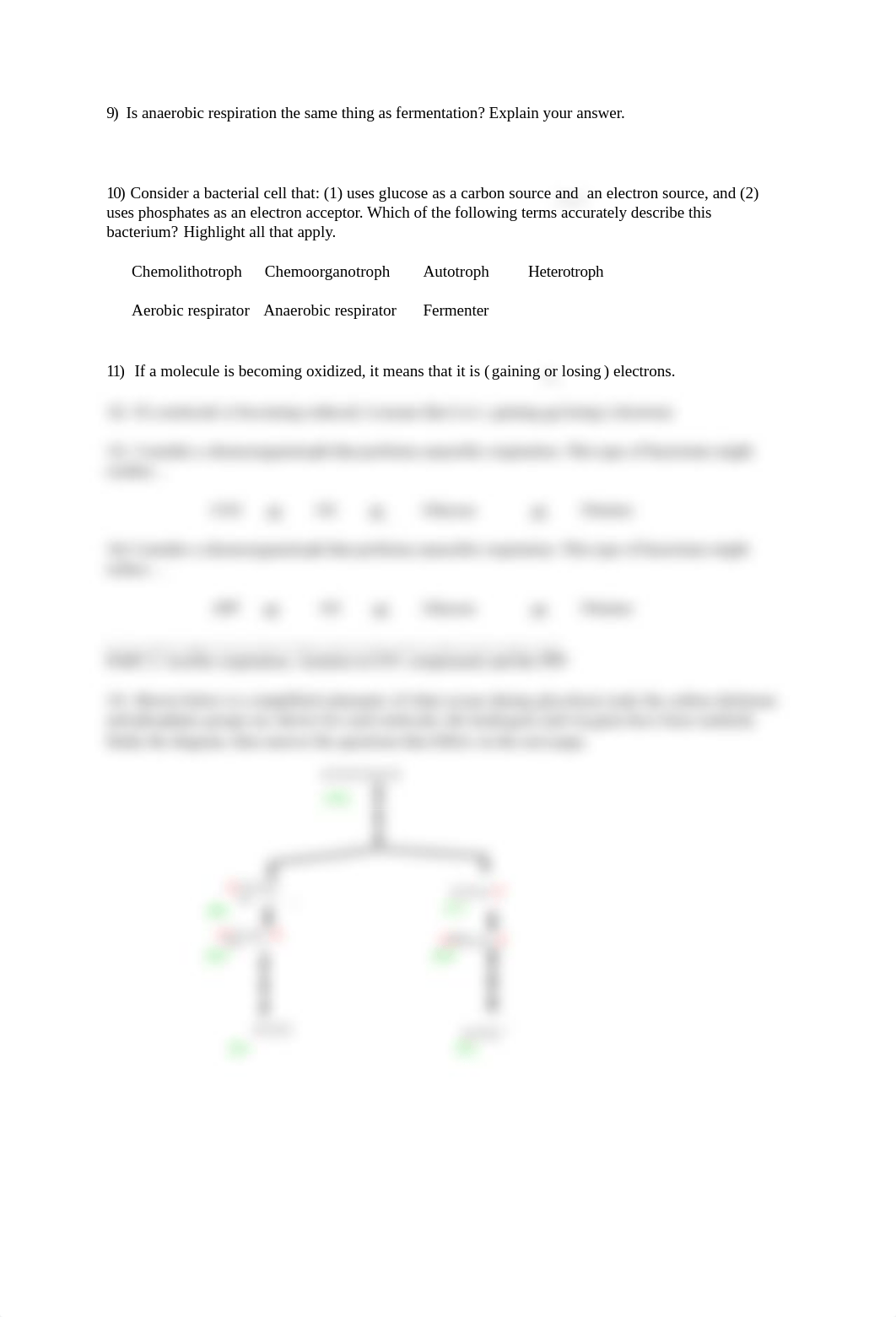 Seminar #3 - Prokaryotic Metabolism and Nomenclature-.docx_d7ayss2bc7i_page2