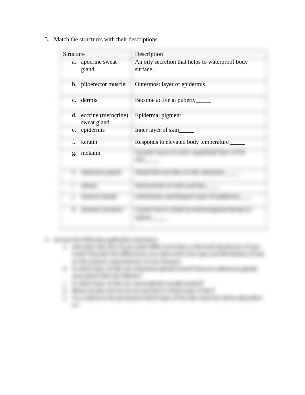 Integumentary System Lab.docx_d7b19i63tk2_page4