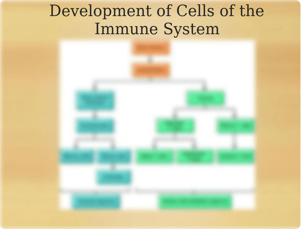 Chapter 35 (Immune Assessment) (1).ppt_d7b8qyvbvna_page5