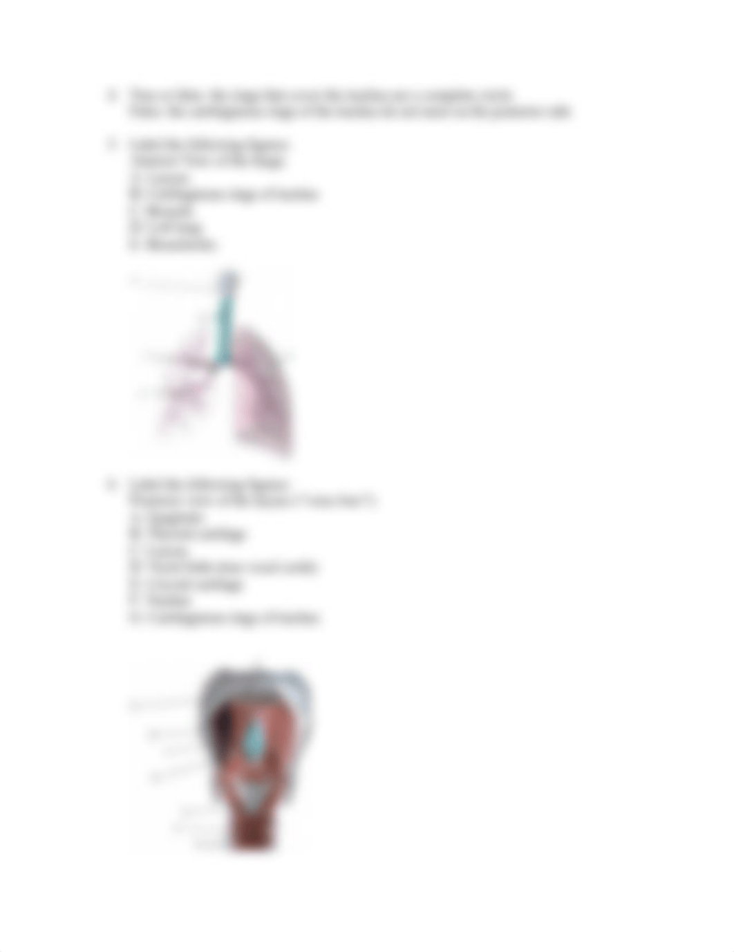 Anatomy and Physiology I Module 2 Problem .docx_d7bahlwk62k_page2