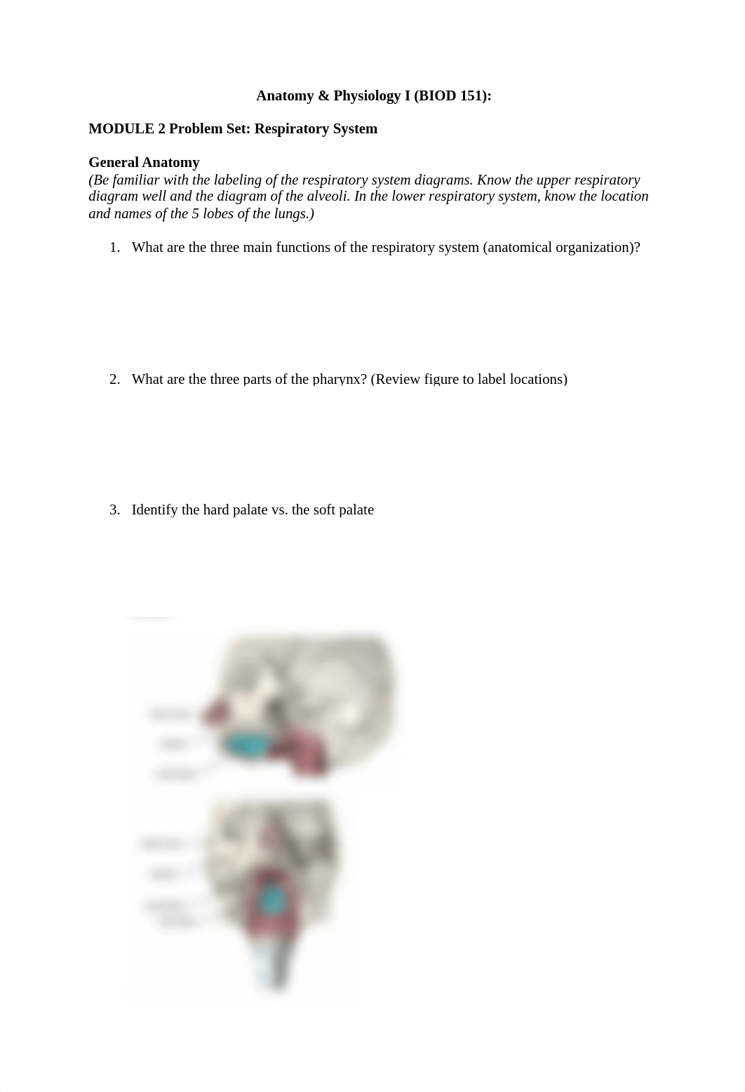 Anatomy and Physiology I Module 2 Problem .docx_d7bahlwk62k_page1