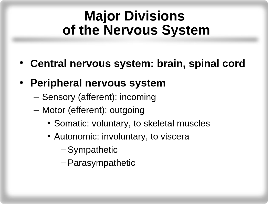 Neural Control of Exercising Muscle .ppt_d7bcozi9rkd_page3