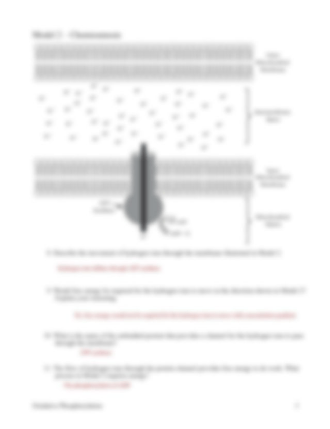 Nyaira Ballinger - 10 Oxidative Phosphorylation-S.pdf_d7bgt63xq58_page3