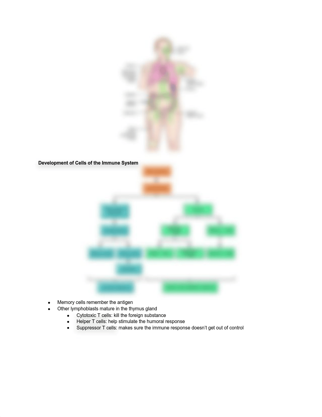 Immunity - Part 1 .pdf_d7bsn4cq2os_page2