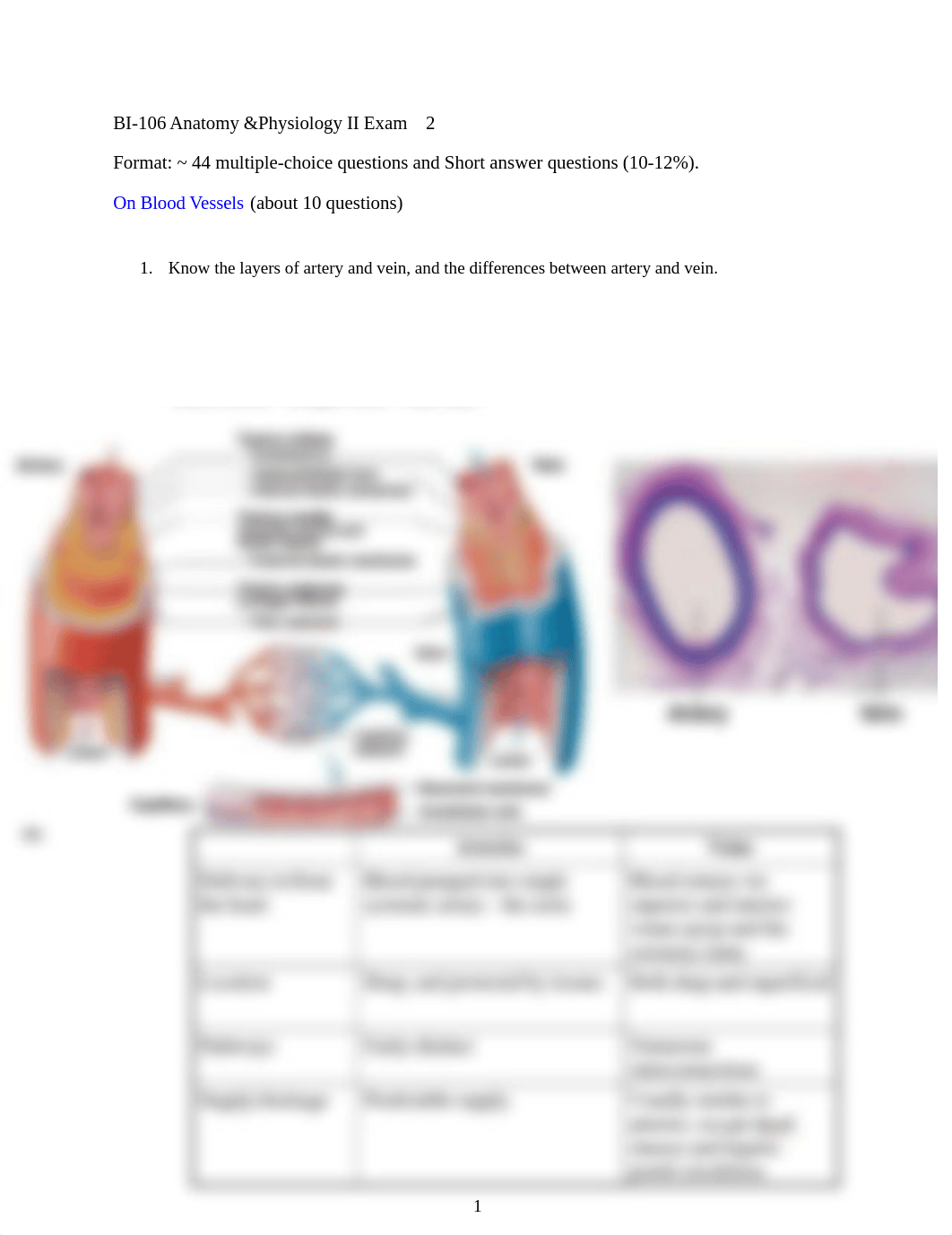 Exam 2 Study Guide.docx_d7bwrbsjt1k_page1