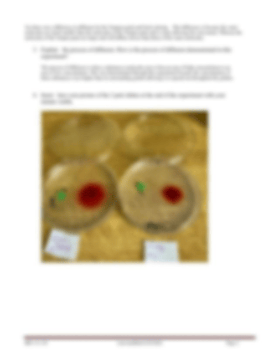 Module 4 Lab_Diffusion_Data Sheet(1).docx_d7bxq62oy7v_page2