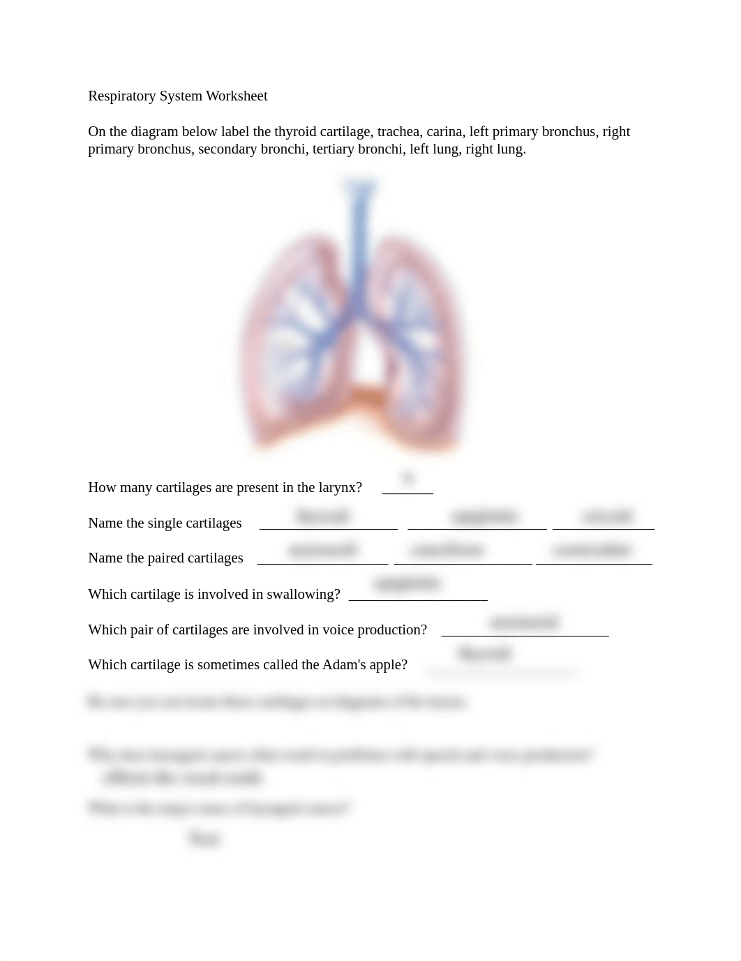 Respiratory System Worksheet.pdf_d7bzm54720n_page1