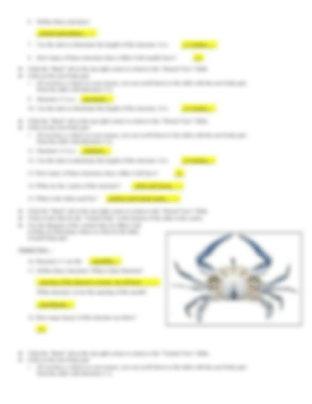 Copy of Blue Crab Virtual Dissection.docx_d7c0eoh735r_page2