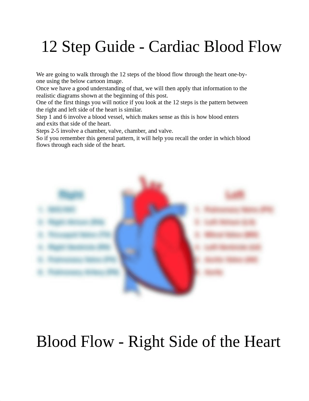 12 Step Guide - Cardiac Blood Flow .pdf_d7c1occuda9_page1