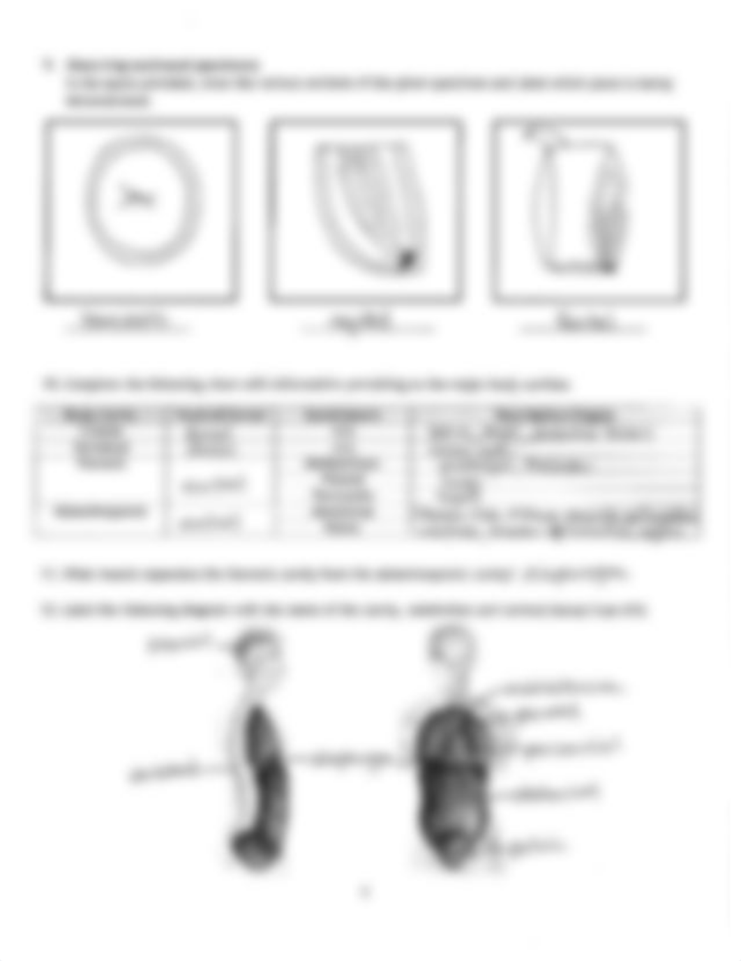 Lab 1 Answer Key.pdf_d7cpxp96md6_page5