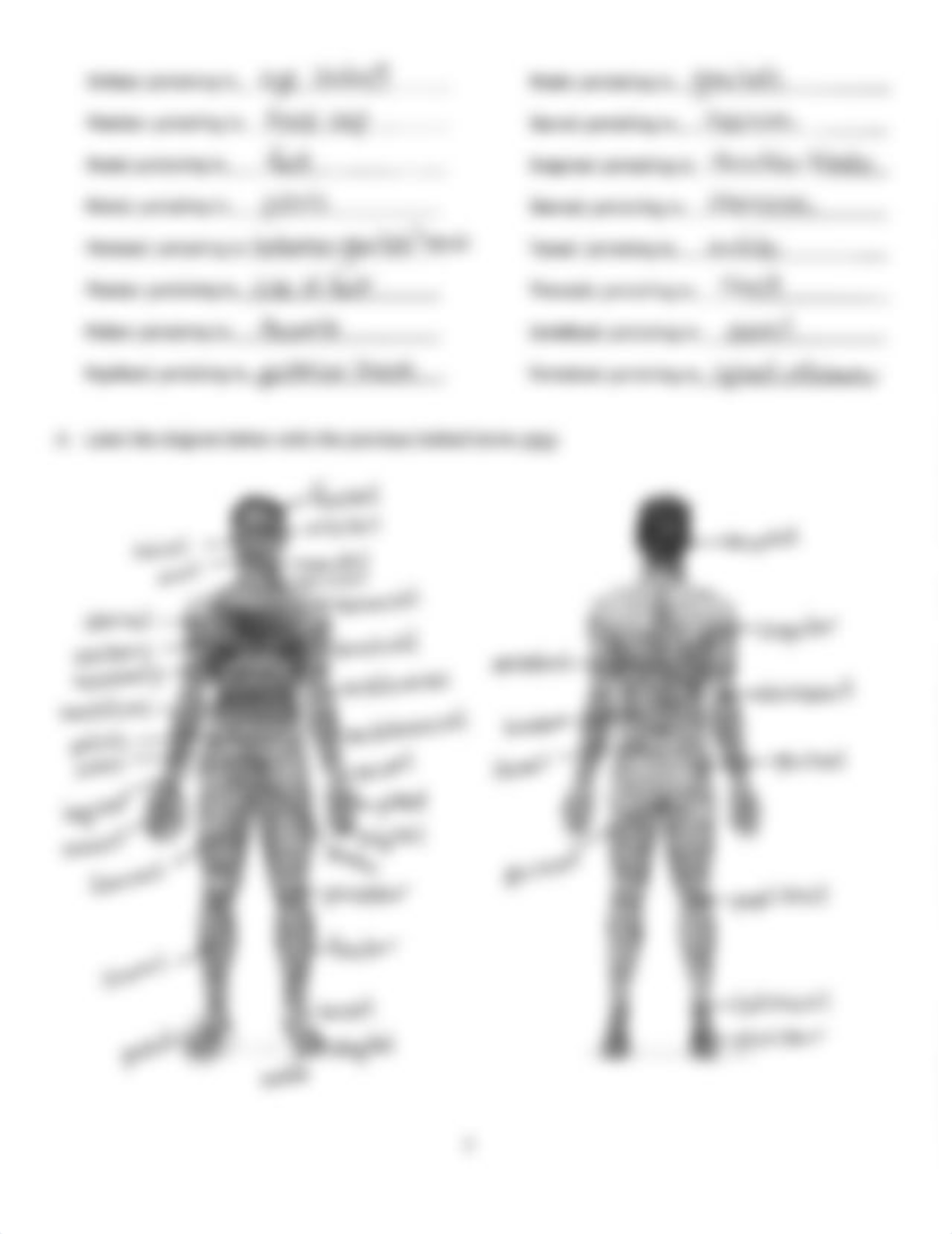 Lab 1 Answer Key.pdf_d7cpxp96md6_page2