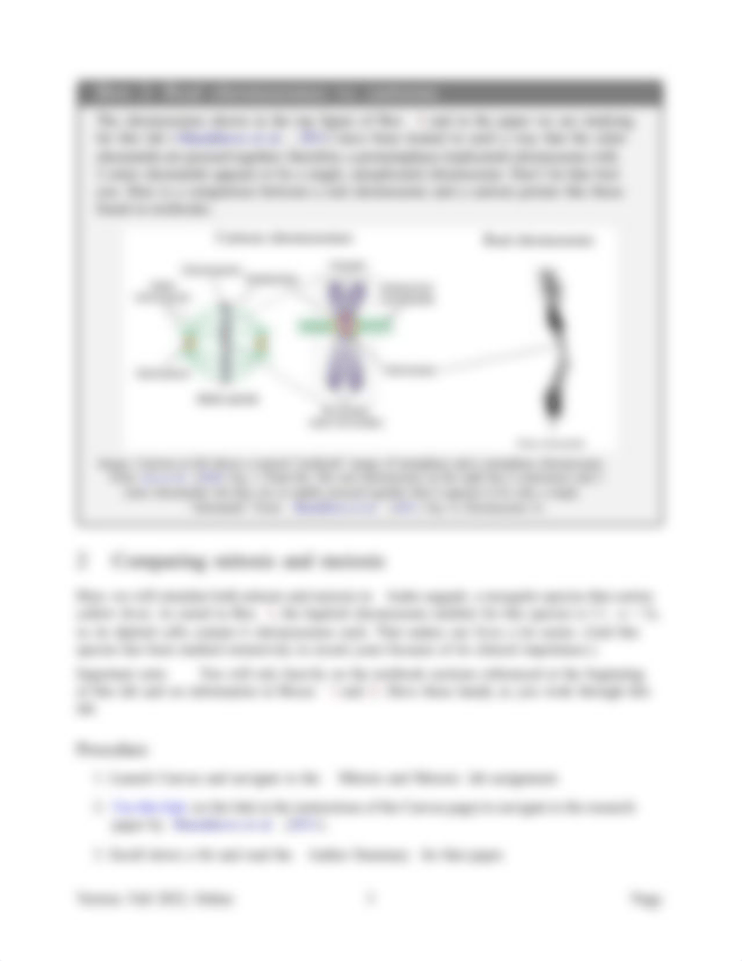 Mitosis-and-Meiosis-Online.pdf_d7cwc992wny_page4