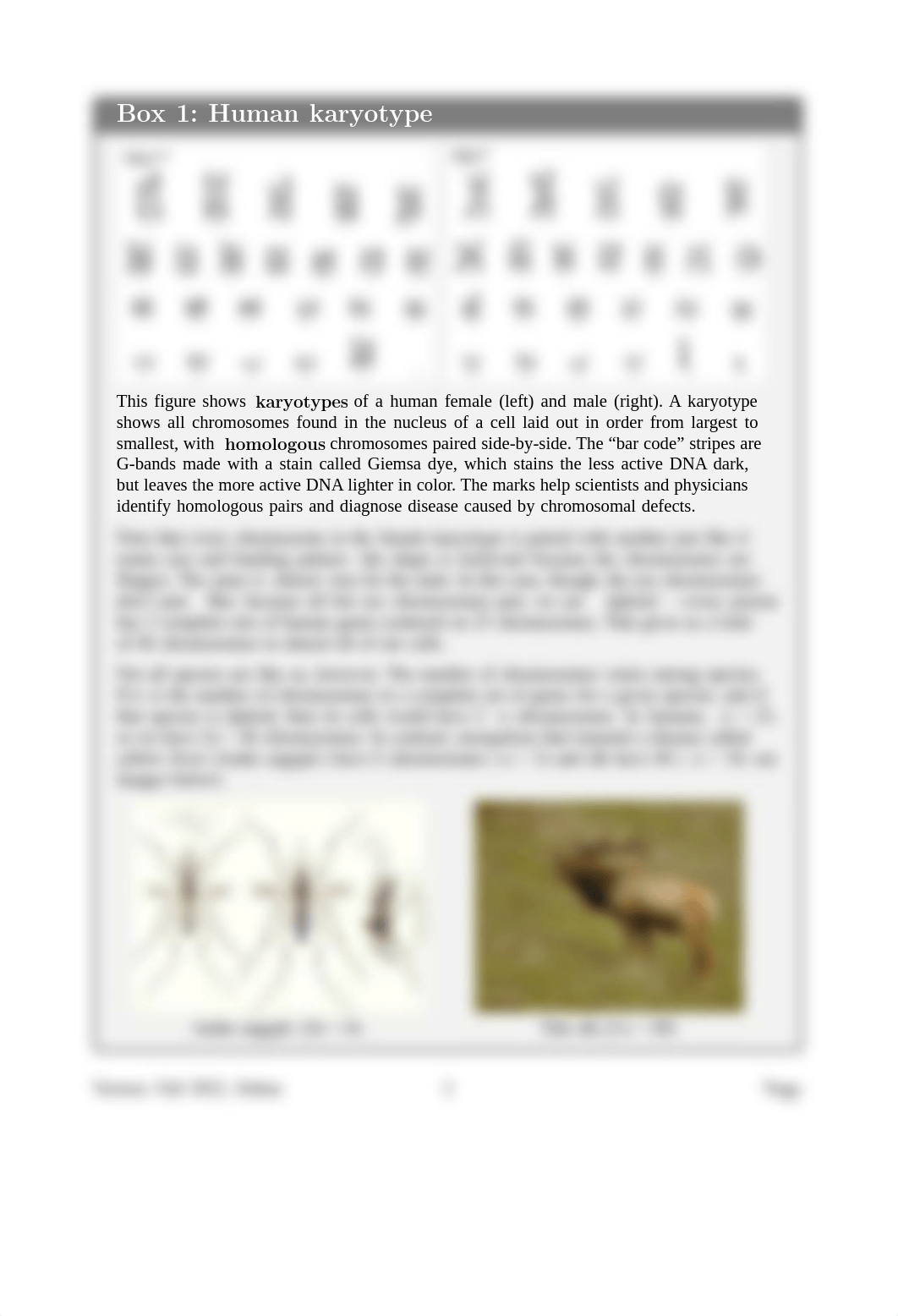 Mitosis-and-Meiosis-Online.pdf_d7cwc992wny_page3