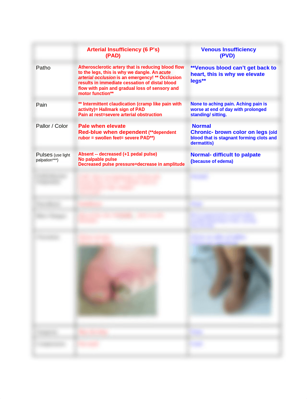 Peripheral Vascular Disorders.docx_d7cwgqd4ghk_page1