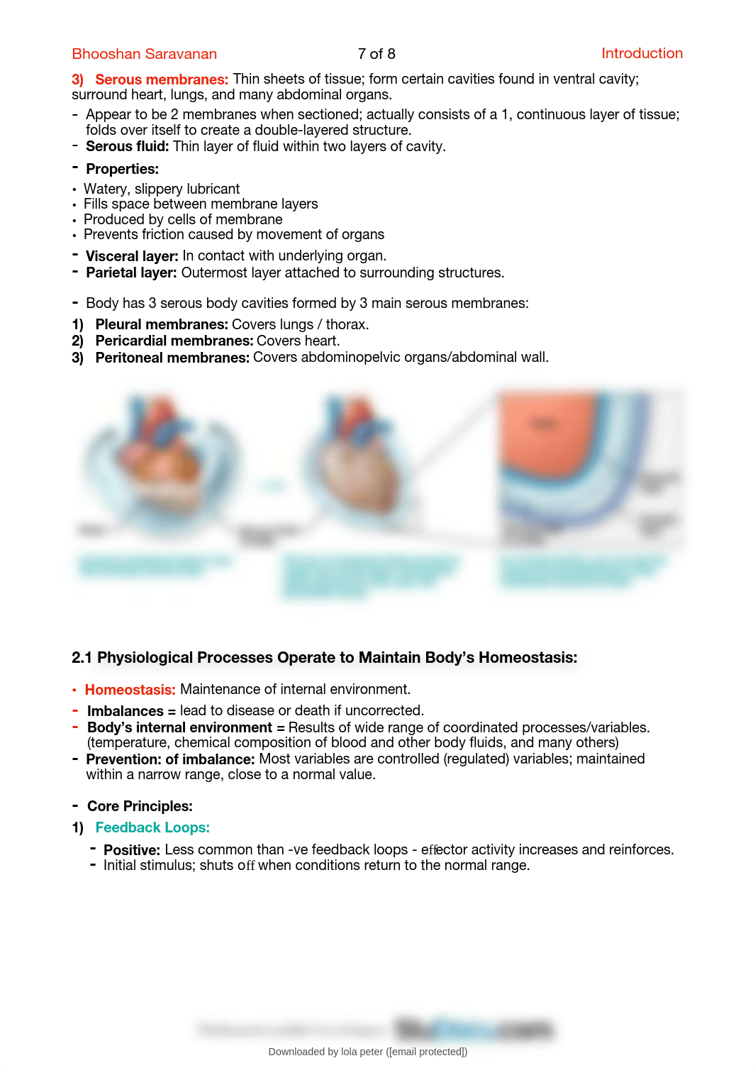 ( Human Anatomy AND Physiology 1) Complete Study notes6-9.pdf_d7cy7drn2v5_page3