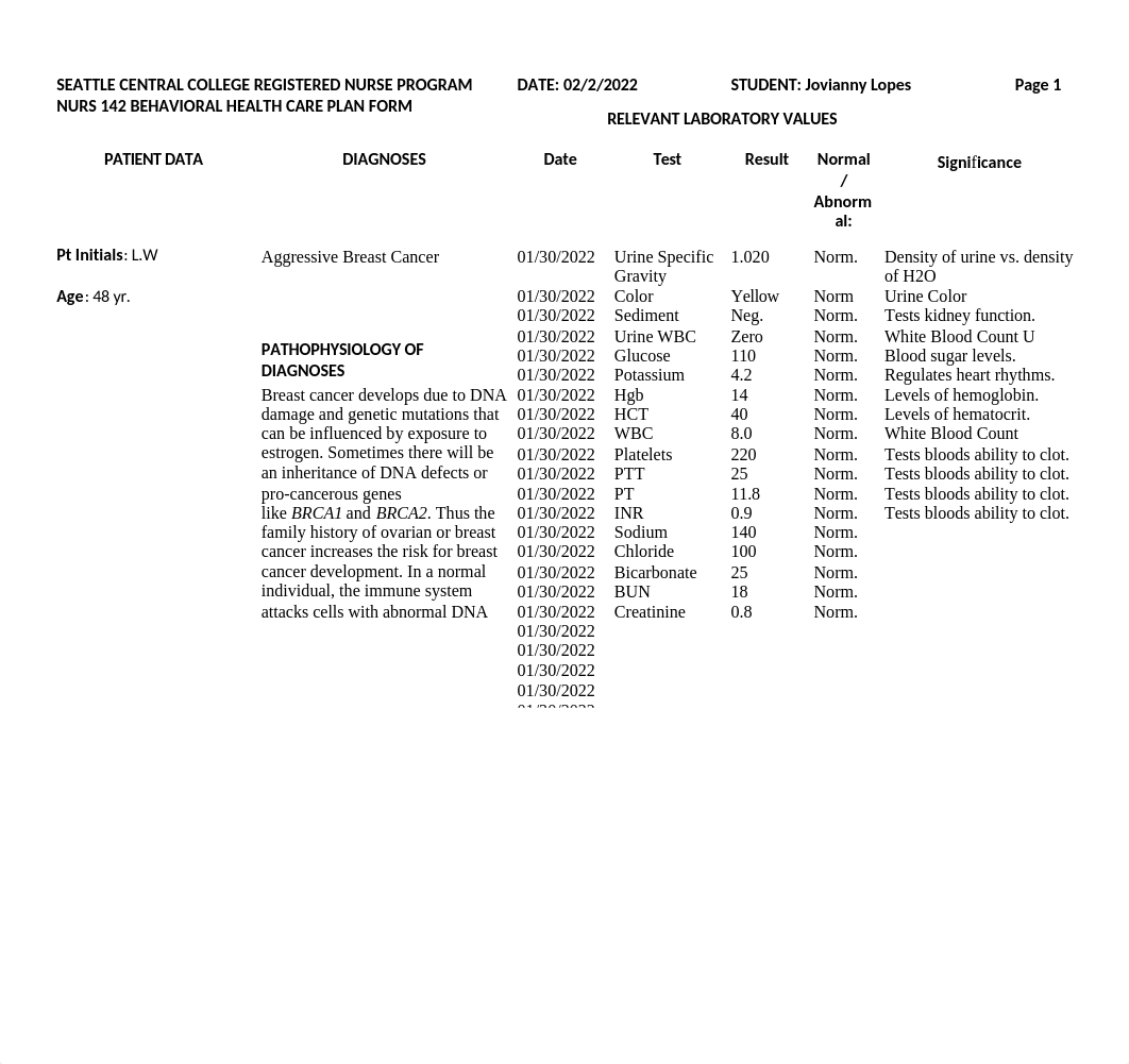 NURS 142 vSim Care Plan 2.docx_d7cyhwfplmm_page1