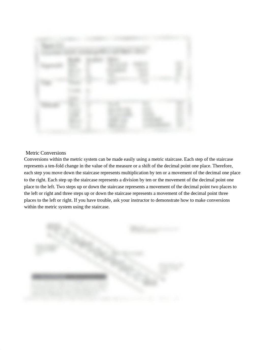 Lab 1The Metric System (3).docx_d7dr3b8ehws_page2