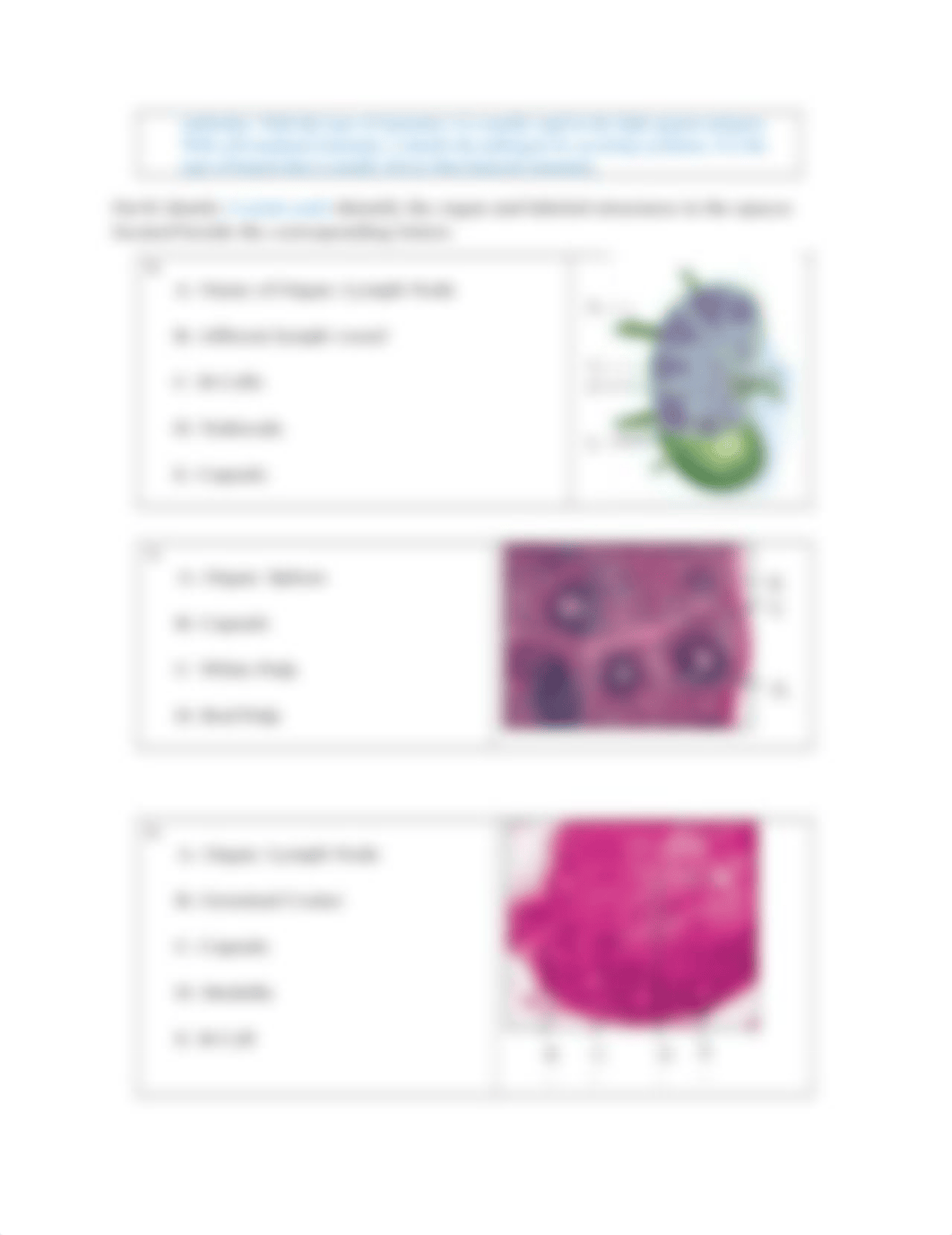 Lymphatic & Immunity Lab Results Submission.docx_d7dwt4gdpu4_page2