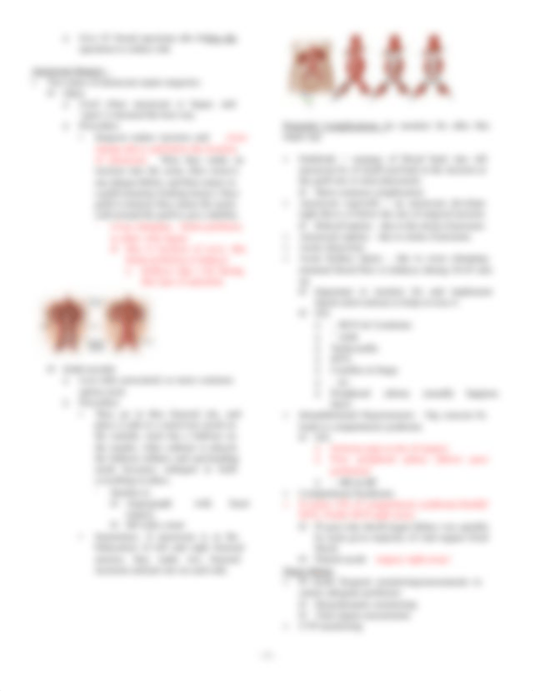 Aortic Aneurysms & Dissections - Amanda PDF.pdf_d7dxqm3ib5m_page3