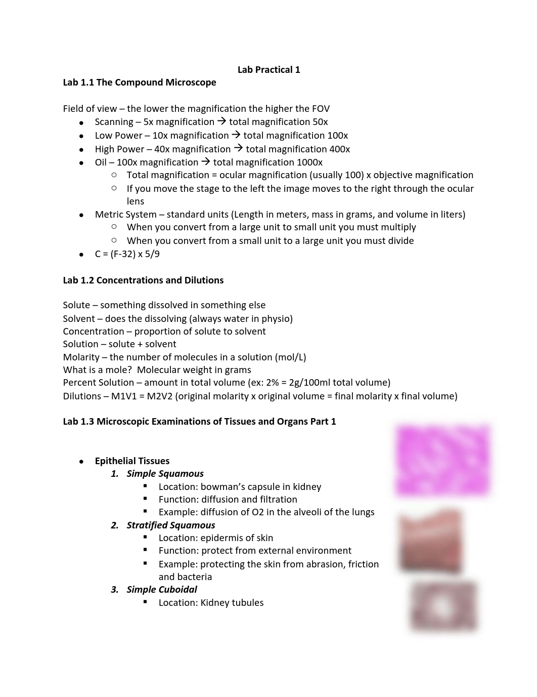 Lab Practical 1.pdf_d7e67jn3a8b_page1