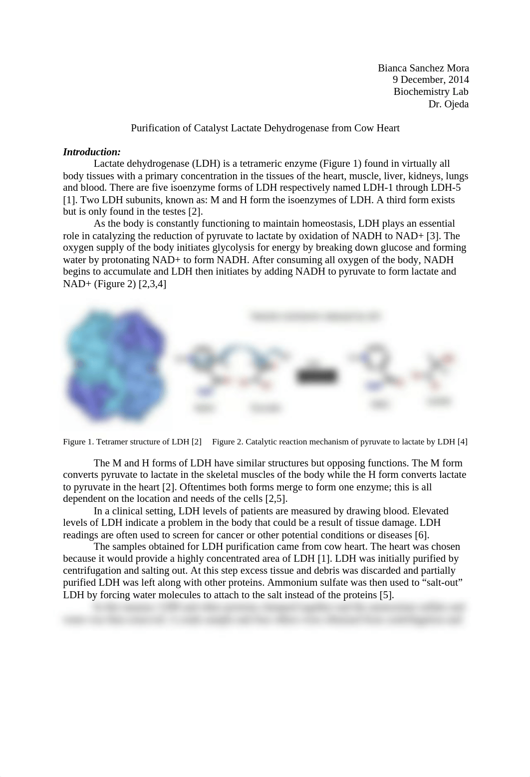 LDH Final Paper_d7e6p4w5el8_page1