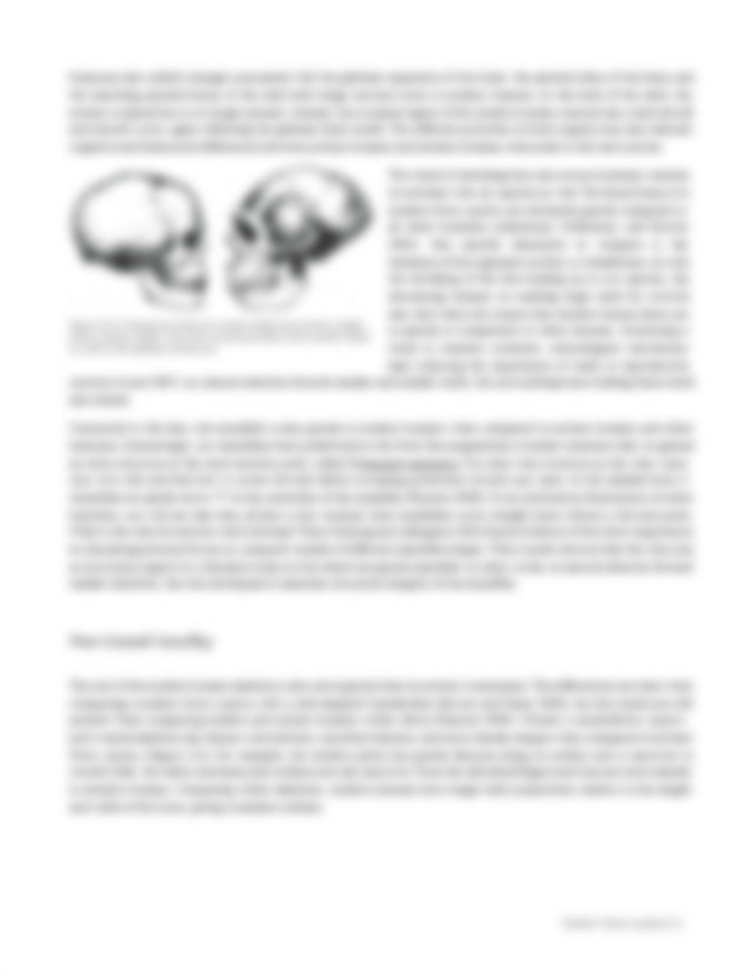 Chapter-12-Modern-Homo-Sapiens-2.0.pdf_d7e8h6j04dw_page4