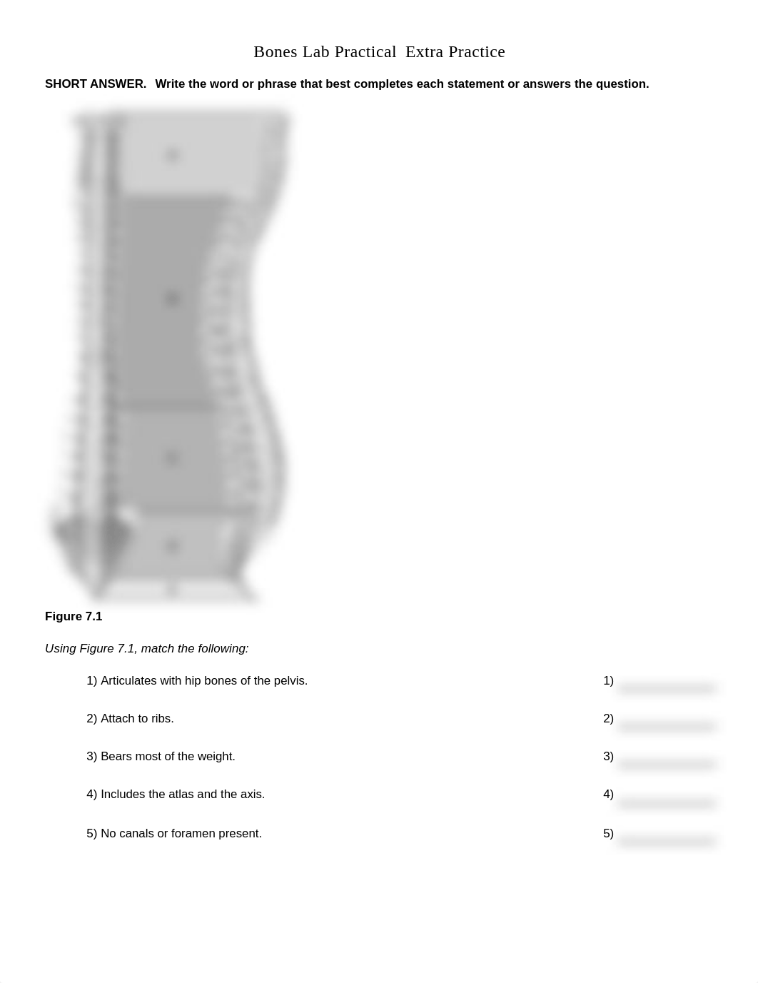 Bones Lab Practical EP_Questions.pdf_d7e9lwc39mq_page1