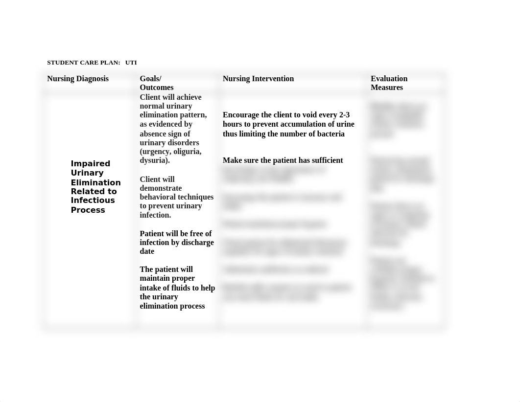 UTI Care Plan #2.doc_d7ecy5148h4_page1