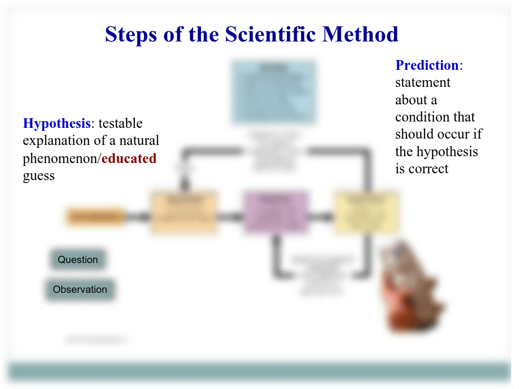 Chapter-1-Learning-about-Life.pdf_d7edw6mp2ns_page5